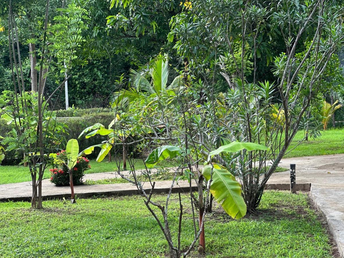 Sigiriya Cottage Exterior foto