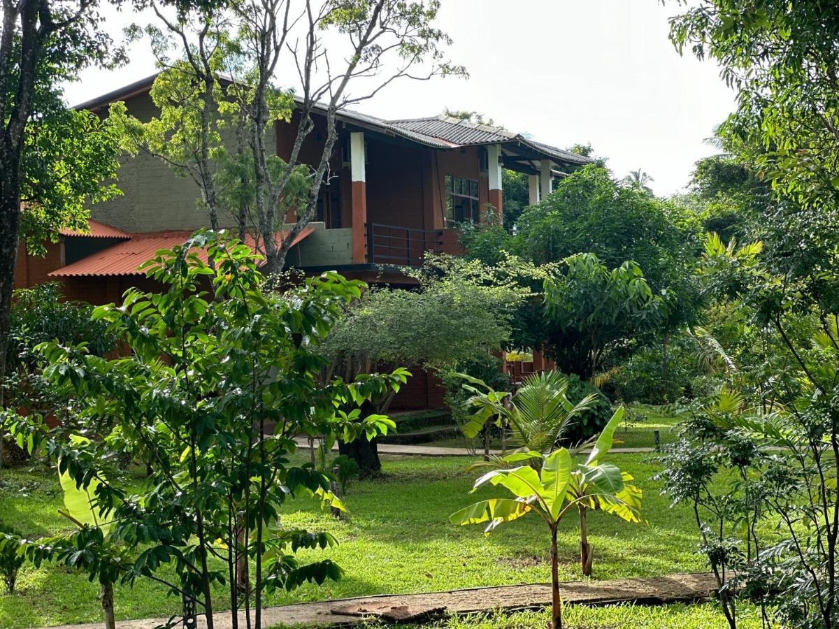Sigiriya Cottage Exterior foto